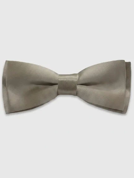 Champagne satin bow tie Champagne satin bow tie
